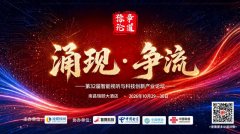 主要项目素材不输入此